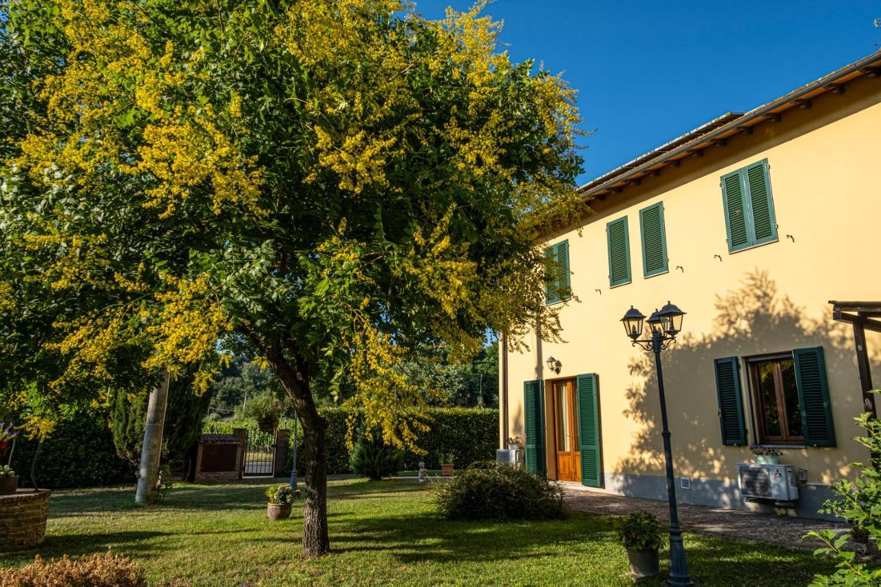 B&B La Serra San Miniato Eksteriør billede